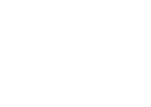 kempton of charleston-logo reversed-RGB